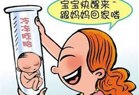 单身试管供卵服务公司
